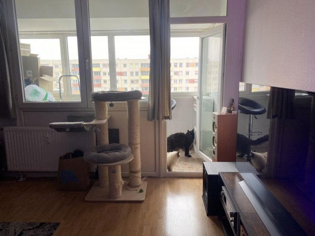 Eladó panellakás, Budapesten, XI. kerületben 69.9 M Ft