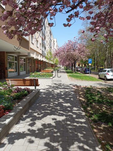 Kiadó téglalakás, albérlet, Szekszárdon 280 E Ft / hó