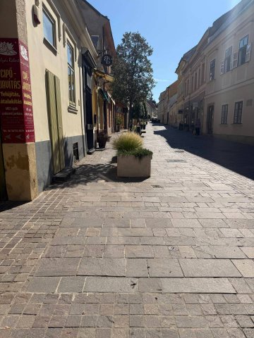 Eladó üzlethelyiség, Pécsett 12.9 M Ft, 1 szobás