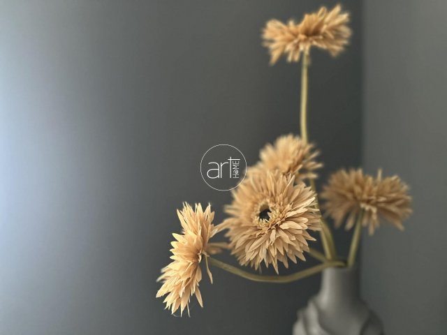 Kiadó téglalakás, albérlet, Szegeden, Kígyó utcában, 2 szobás