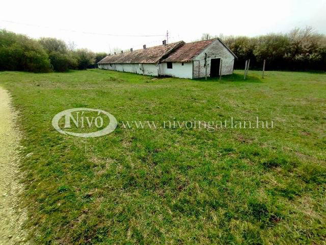 Eladó mezogazdasagi ingatlan, Veszprémben 133 M Ft