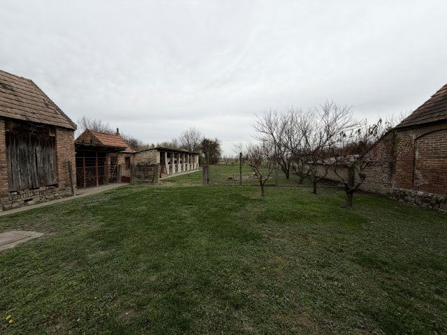 Eladó családi ház, Felsőszentmártonon 19.99 M Ft, 4 szobás