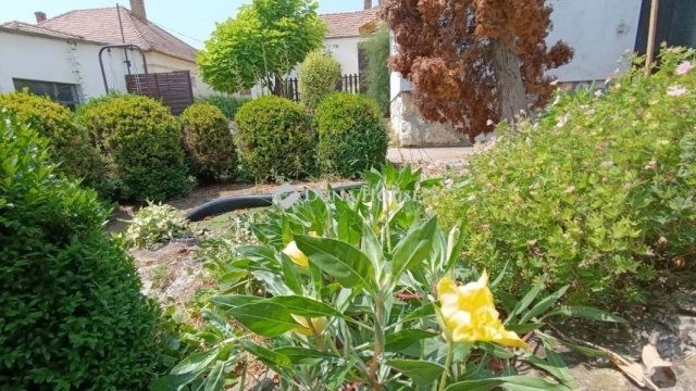 Eladó családi ház, Bólyban 51.9 M Ft, 6 szobás