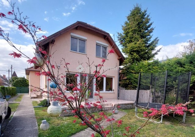 Eladó családi ház, Budapesten, III. kerületben, Kinizsi utcában