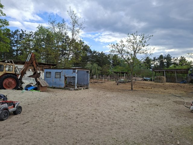 Eladó családi ház, Délegyházán 65 M Ft, 1 szobás