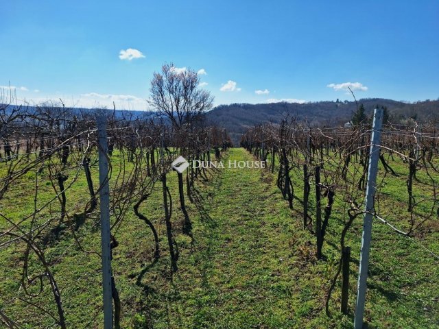 Eladó nyaraló, Zalaistvándon 19 M Ft, 1 szobás