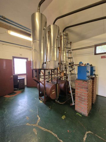 Eladó ipari ingatlan, Pécsett 40 M Ft, 1 szobás