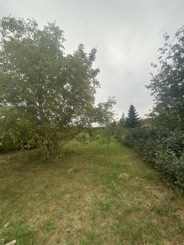 Eladó telek, Kápolnásnyéken 6 M Ft / költözzbe.hu