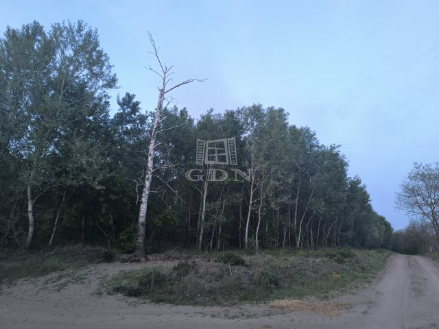 Eladó mezogazdasagi ingatlan, Kakucson 139.8 M Ft