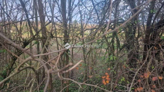 Eladó telek, Velényen 6 M Ft / költözzbe.hu