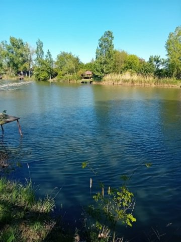 Eladó telek, Mezőtúron 17.99 M Ft / költözzbe.hu