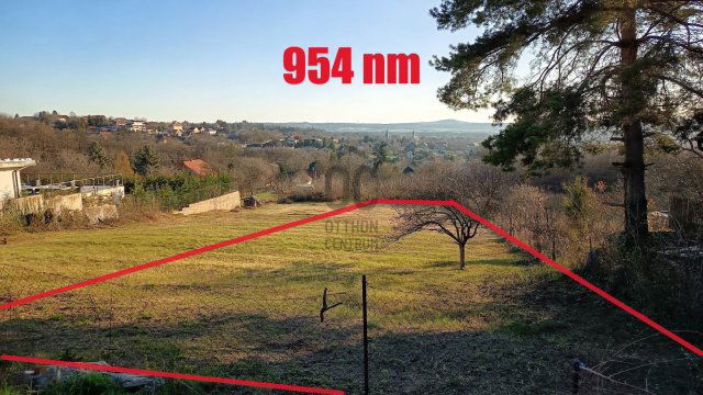 Eladó telek, Szadán 55 M Ft / költözzbe.hu