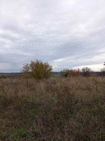 Eladó mezogazdasagi ingatlan, Siófokon 20 M Ft