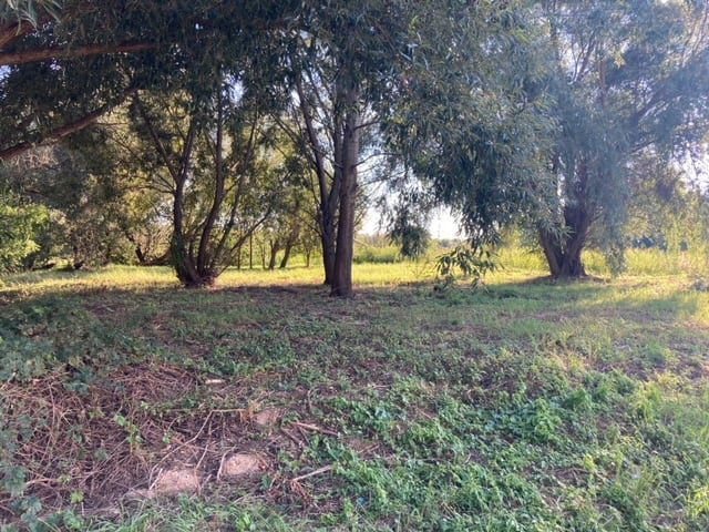 Eladó telek, Valkón 6.5 M Ft / költözzbe.hu