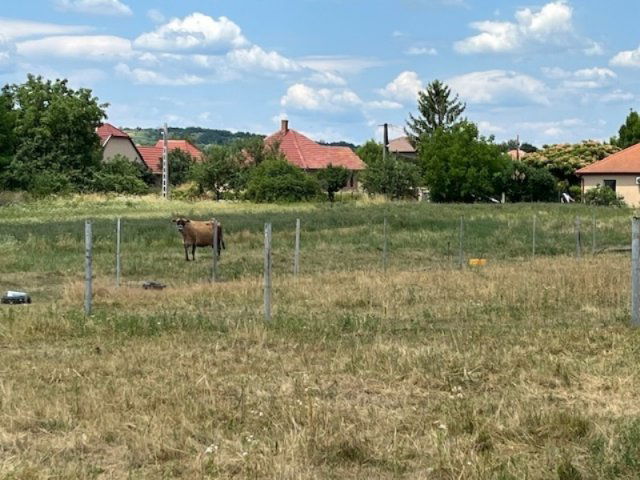 Eladó telek, Mályin 10.7 M Ft / költözzbe.hu