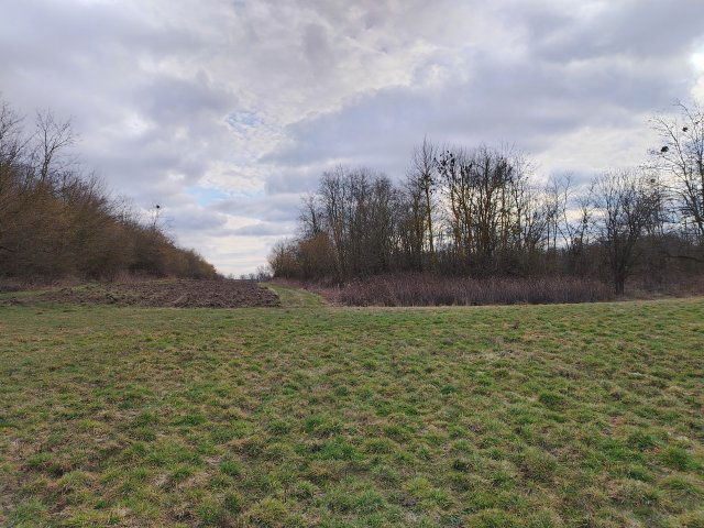 Eladó telek, Kisasszondon 3.5 M Ft / költözzbe.hu