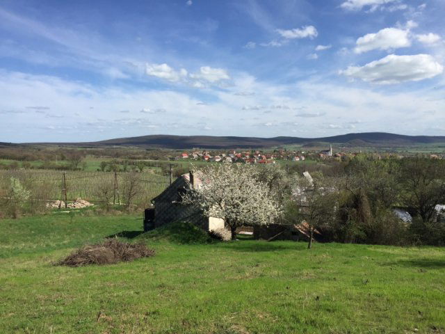 Eladó telek, Köveskálon 45 M Ft / költözzbe.hu