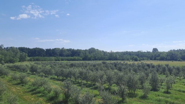Eladó mezogazdasagi ingatlan, Debrecenben 129.9 M Ft, 2 szobás