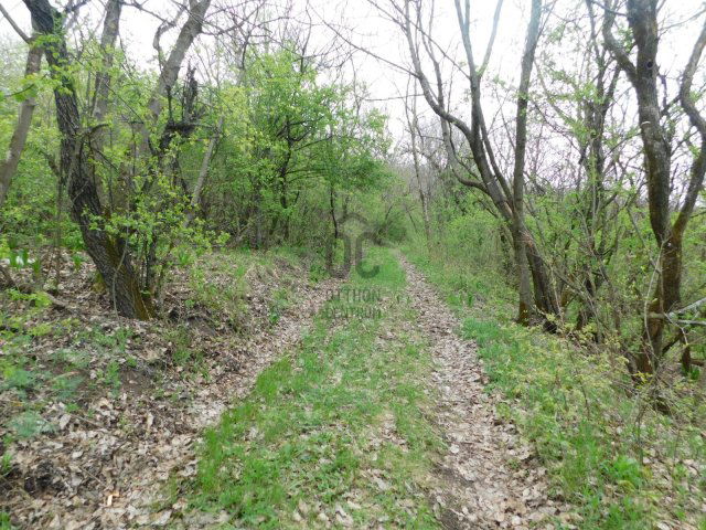 Eladó telek, Verőcén 9.9 M Ft / költözzbe.hu