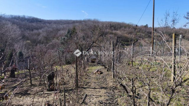 Eladó telek, Pellérden 4.5 M Ft / költözzbe.hu
