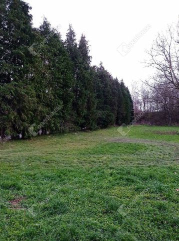 Eladó telek, Olaszfán 3.9 M Ft / költözzbe.hu