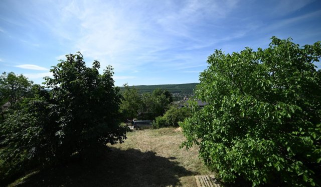 Eladó családi ház, Nagykovácsiban 269 M Ft, 6 szobás
