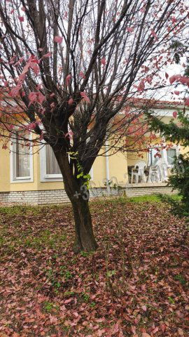 Eladó családi ház, Tökön 189 M Ft, 3 szobás