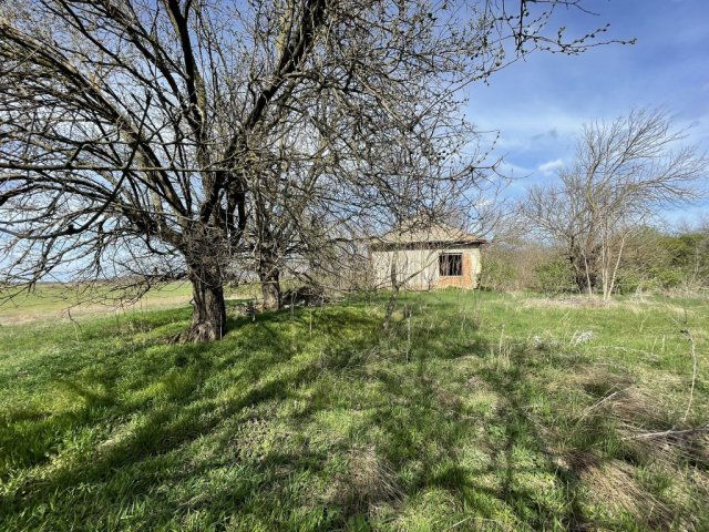 Eladó mezogazdasagi ingatlan, Tiszakürtön 4.9 M Ft, 1 szobás