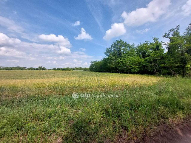 Eladó mezogazdasagi ingatlan, Dócon 1.59 M Ft