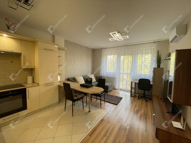 Kiadó téglalakás, albérlet, Debrecenben 250 E Ft / hó, 2 szobás