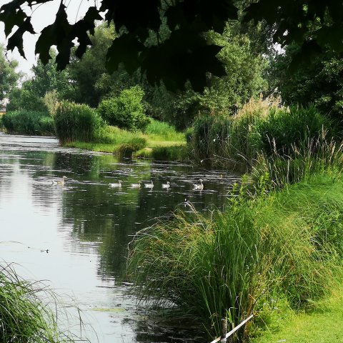 Eladó telek, Dunaszigeten 79 M Ft / költözzbe.hu