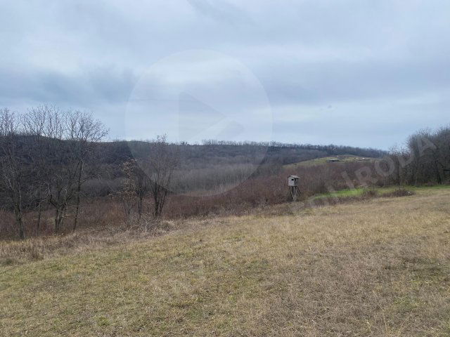 Eladó mezogazdasagi ingatlan, Szekszárdon 29.9 M Ft
