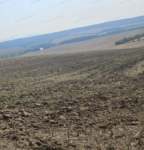 Eladó mezogazdasagi ingatlan, Szomoron 7 M Ft