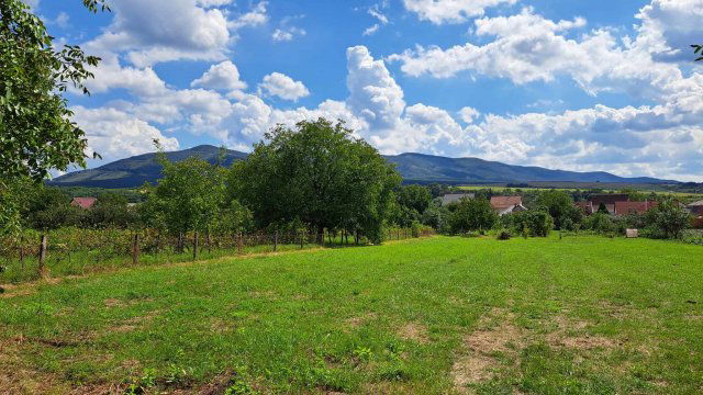 Eladó telek, Pásztón 14.9 M Ft / költözzbe.hu