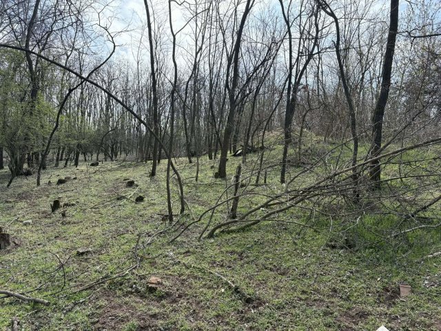 Eladó mezogazdasagi ingatlan, Lajosmizsén 5.2 M Ft