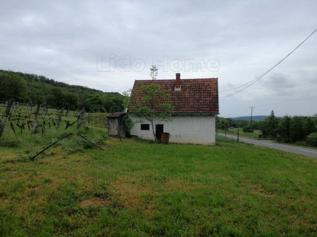 Eladó mezogazdasagi ingatlan, Pécselyen 24.99 M Ft, 4 szobás