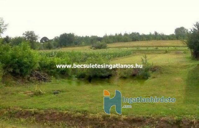 Eladó mezogazdasagi ingatlan, Nagykutason 2.3 M Ft