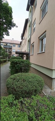 Kiadó téglalakás, albérlet, XI. kerületben, Rodostó utcában