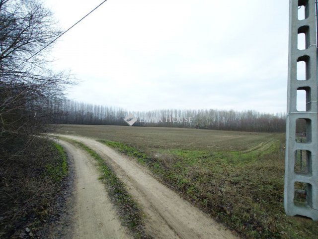 Eladó telek, Pilisen 7.5 M Ft / költözzbe.hu