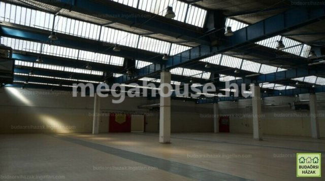 Kiadó ipari ingatlan, Budaörsön 687 E Ft / hó