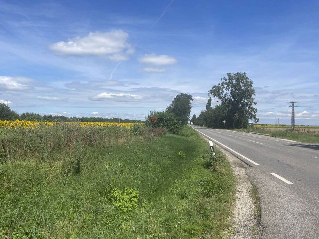 Eladó telek, Székesfehérvárott 55 M Ft / költözzbe.hu
