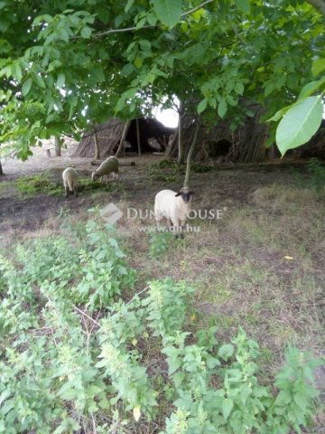 Eladó üzlethelyiség, Sükösdön 215 M Ft / költözzbe.hu