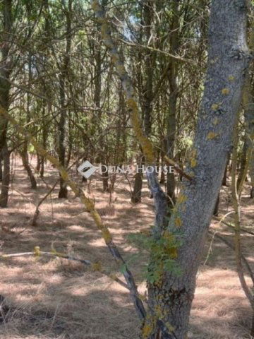 Eladó telek, Martfűn 13 M Ft / költözzbe.hu