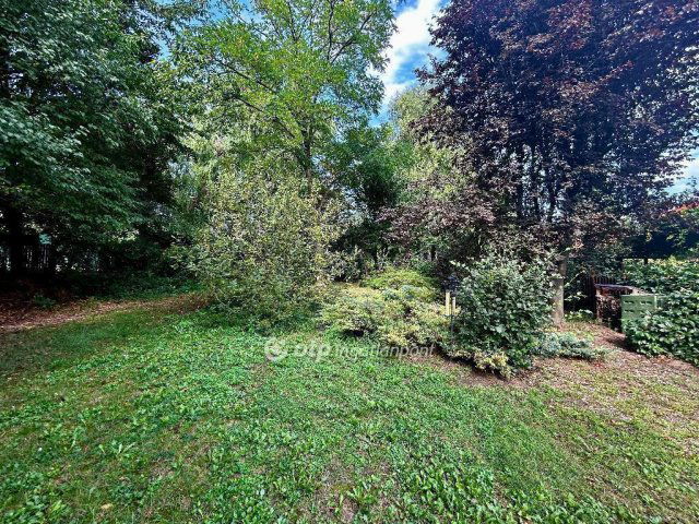 Eladó téglalakás, Debrecenben 77 M Ft, 1+1 szobás