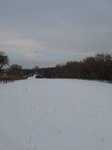 Eladó mezogazdasagi ingatlan, Balatonalmádiban 15 M Ft