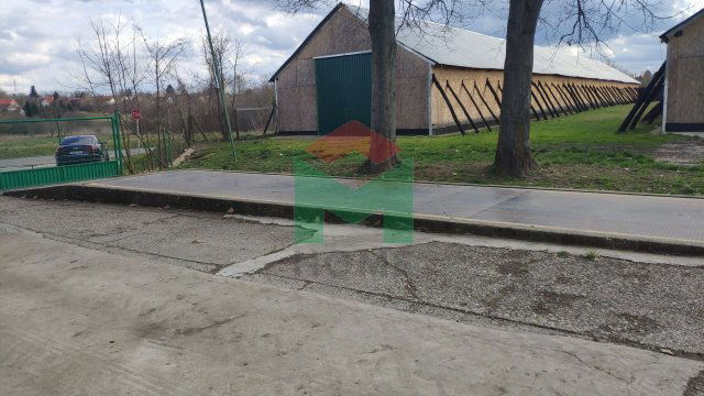 Eladó mezogazdasagi ingatlan, Tapsonyon 250 M Ft