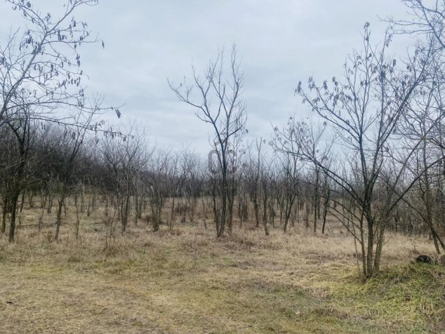 Eladó mezogazdasagi ingatlan, Tápiószentmártonon 8 M Ft
