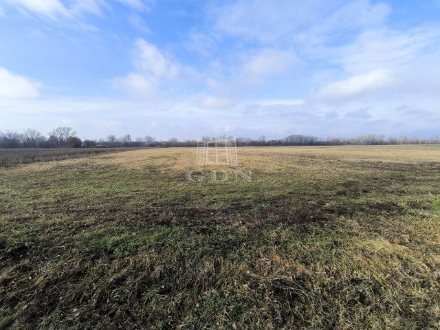 Eladó mezogazdasagi ingatlan, Dunakeszin 7.9 M Ft