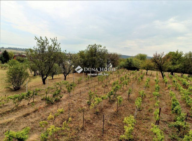 Eladó családi ház, Balatonalmádiban 230 M Ft, 3+1 szobás