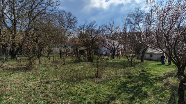 Eladó családi ház, Biatorbágyon 80 M Ft, 1 szobás